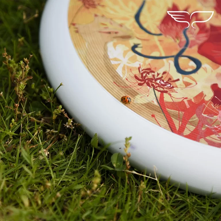 Frisbee Ultime YIKUN ShanhaiJing CHUANYUN - Gamme Infinite Color