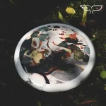 Frisbee Ultime YIKUN ShanhaiJing YAOHUA - Gamme Infinite Color