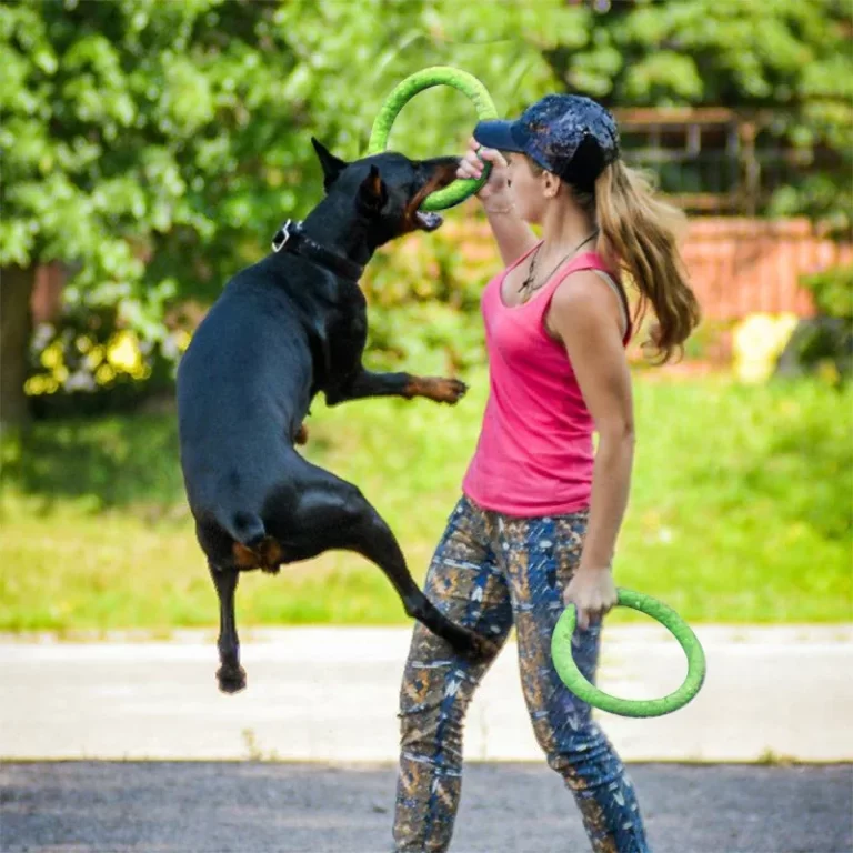 Anneau à mordiller pour chiens - Chien qui joue avec sa maitresse